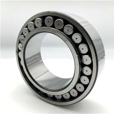C 6006 V CARB Toroidal Roller Bearings